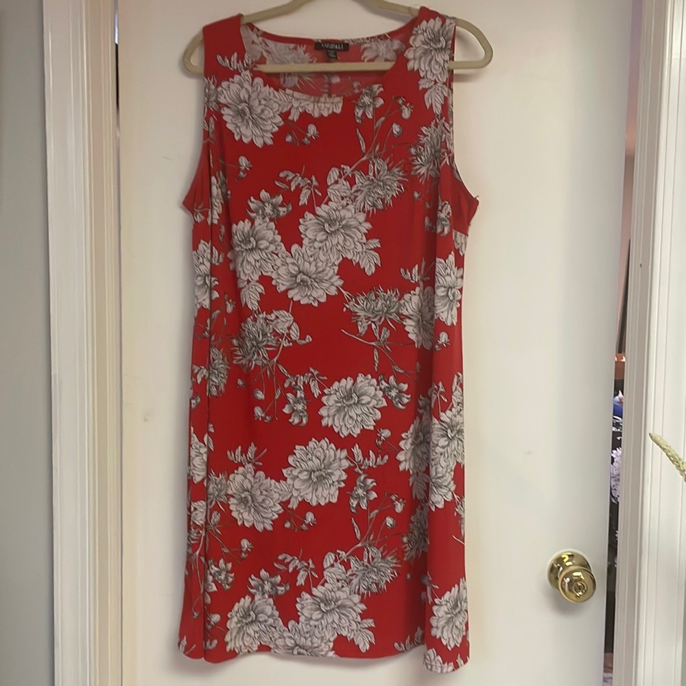 Ruiz & Ali .. From Dress Barn